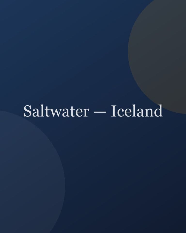Saltwater — Iceland — travel project cover