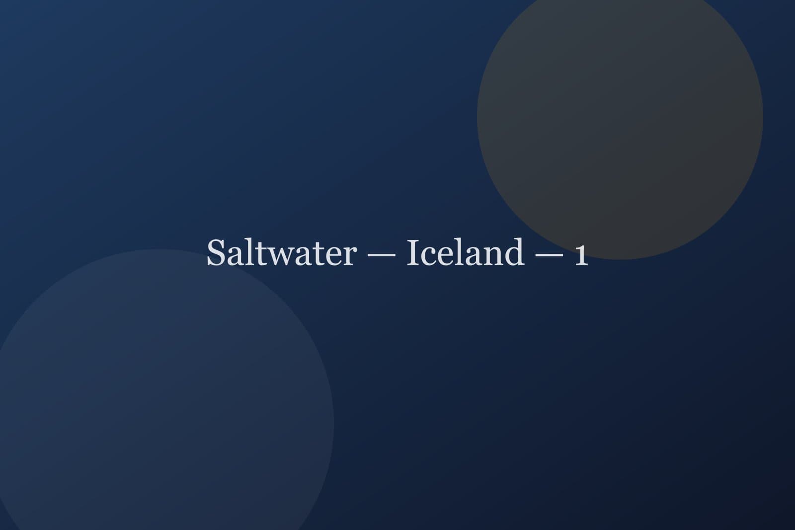 Saltwater — Iceland — detail 1