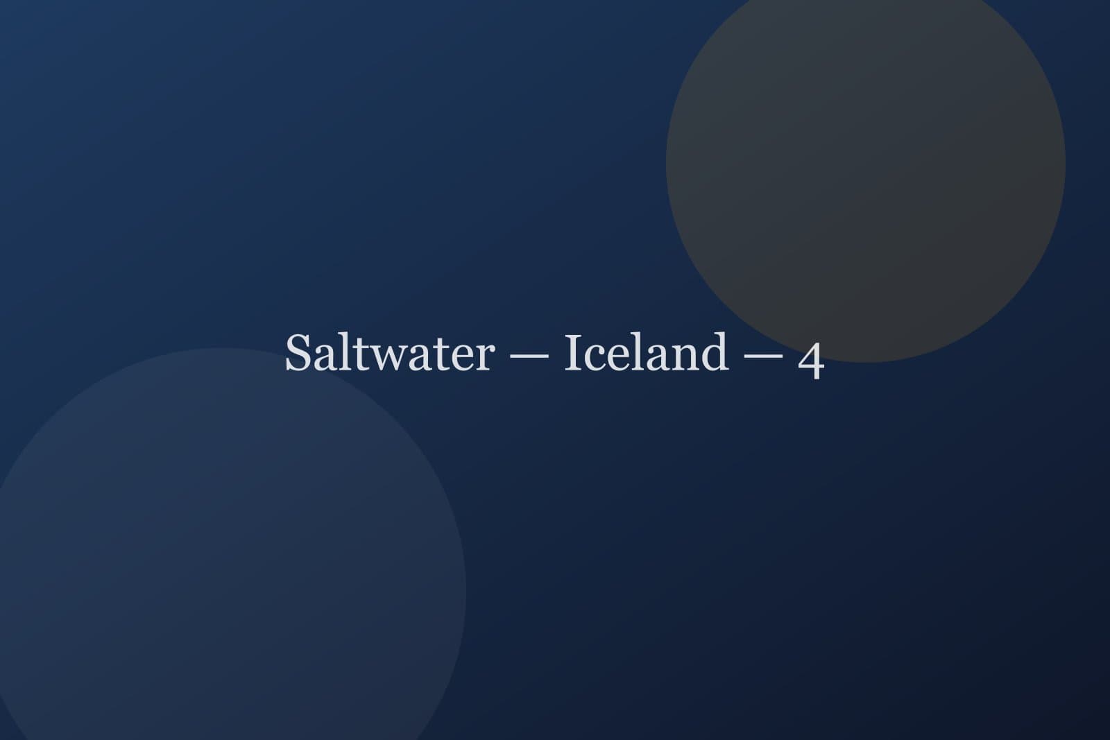 Saltwater — Iceland — detail 4